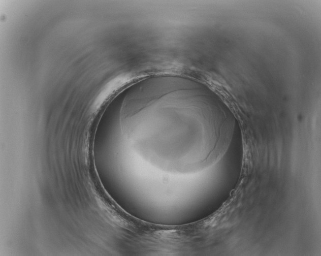 X0000087330054200705041750