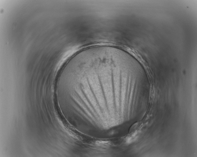 X0000087330055200705041750