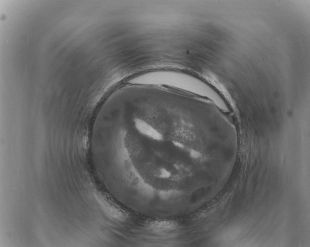 X0000087330063200705041750
