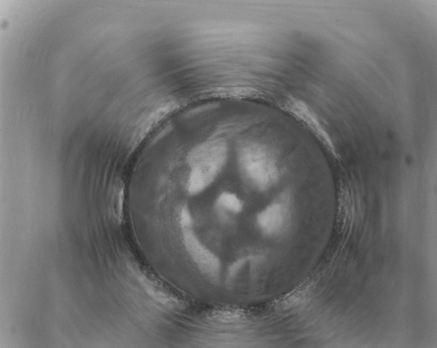 X0000087330110200705041749