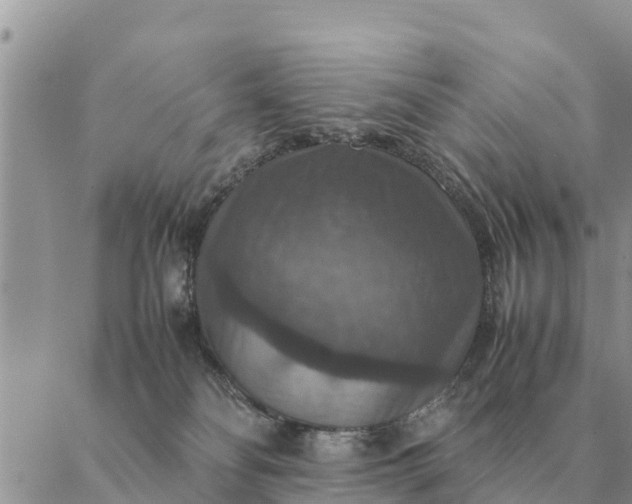 X0000087330134200705041749