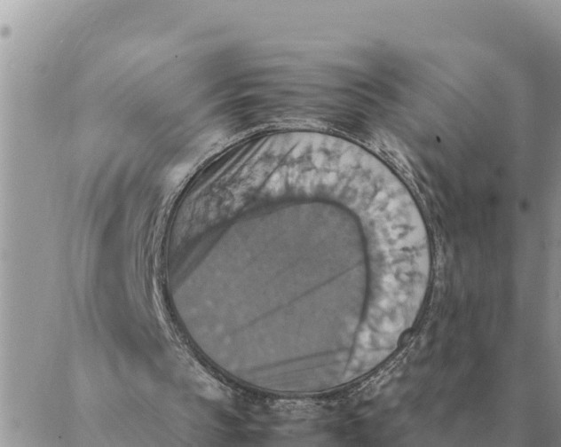 X0000087330145200705041748