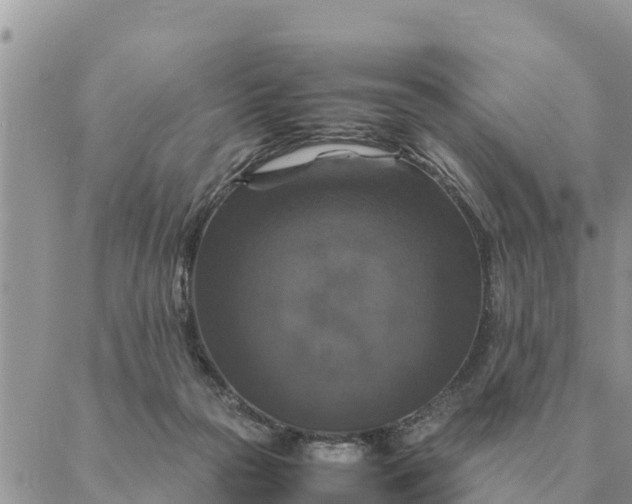 X0000087330169200705041748