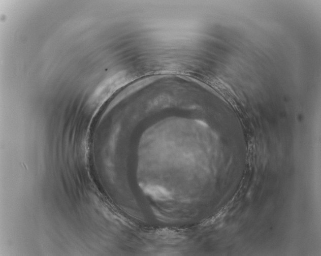 X0000087330290200705041746