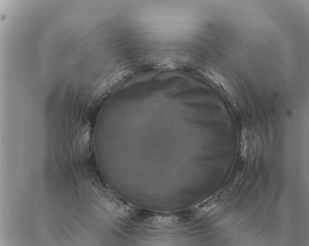 X0000087330314200705041746