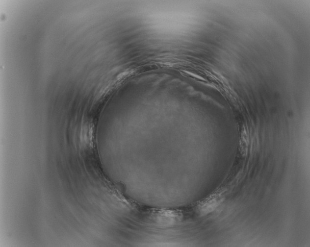 X0000087330330200705041746