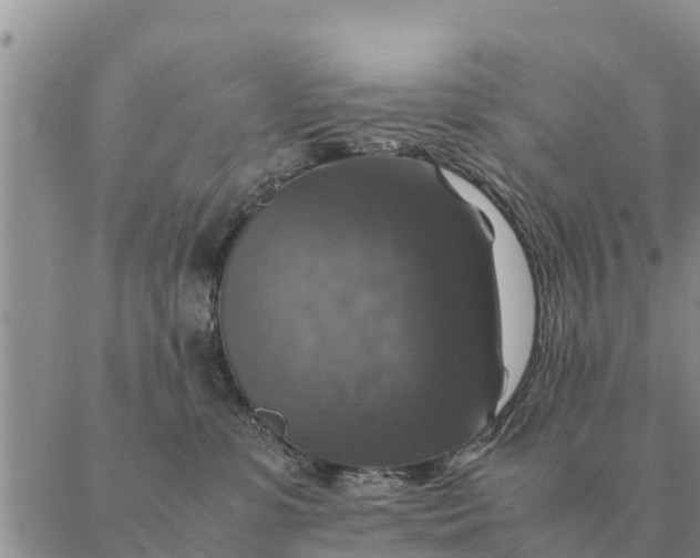 X0000087330331200705041746