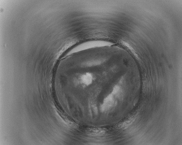 X0000087330443200705041743