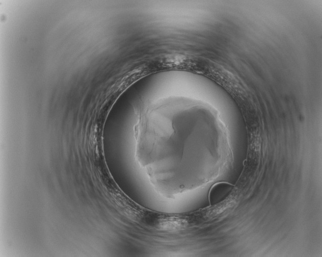 X0000087330754200705041739