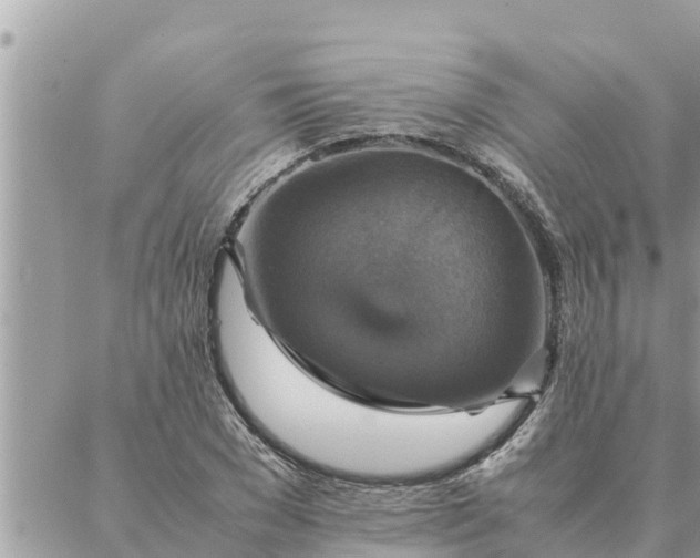 X0000087330977200705041735