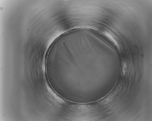 X0000087331084200705041733