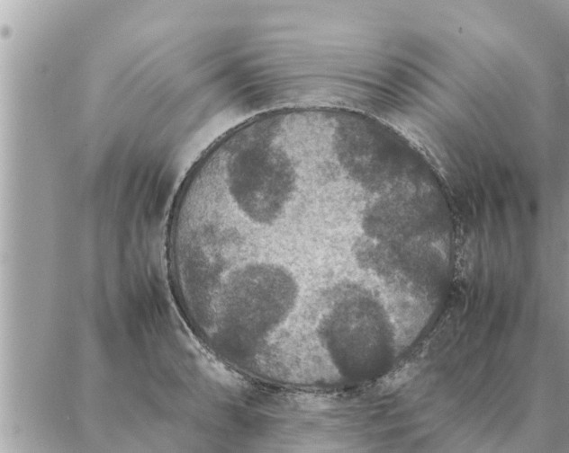 X0000087331086200705041733