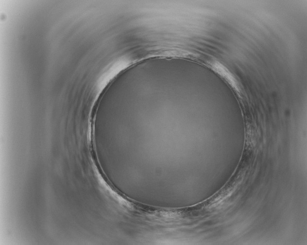 X0000087331095200705041733