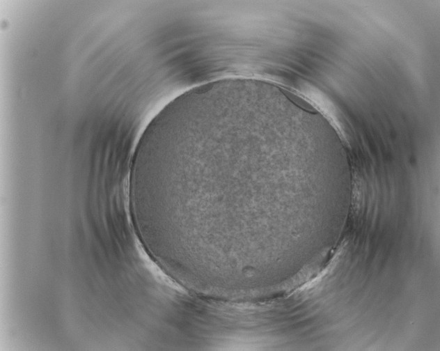 X0000087331100200705041733