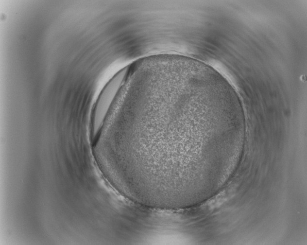 X0000087331104200705041733