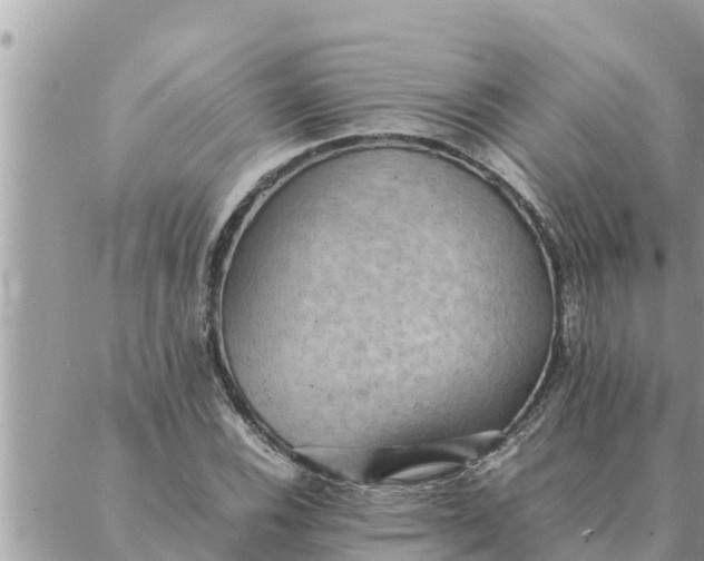 X0000087331116200705041732