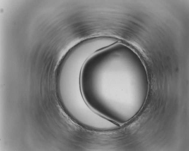 X0000087331118200705041733