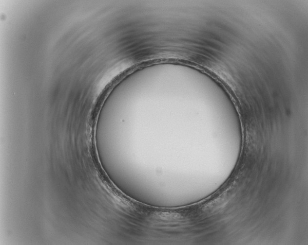 X0000087331119200705041733