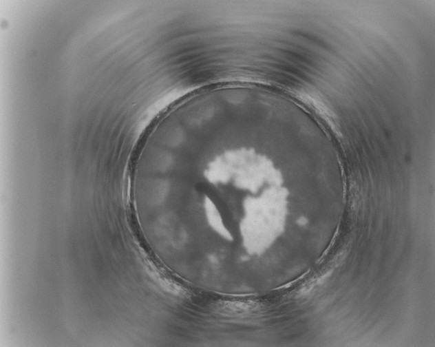 X0000087331125200705041733