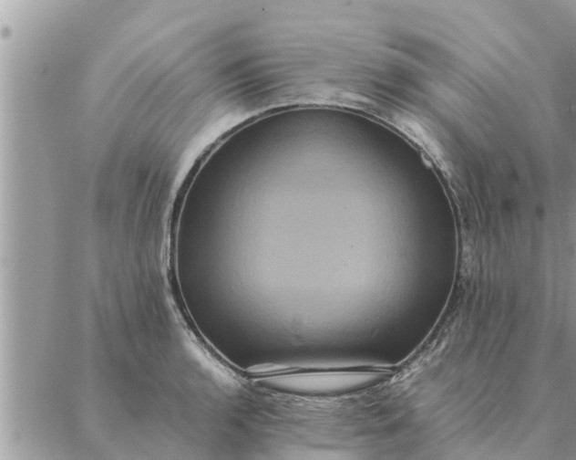 X0000087331136200705041733