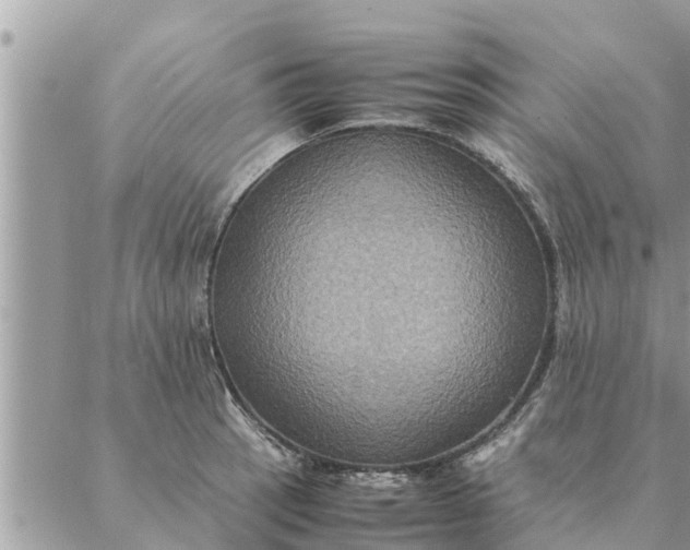 X0000087331137200705041733