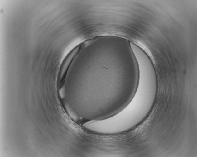 X0000087331138200705041733