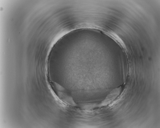 X0000087331144200705041733