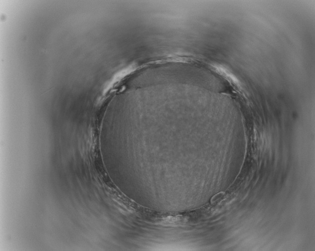 X0000087331160200705041732