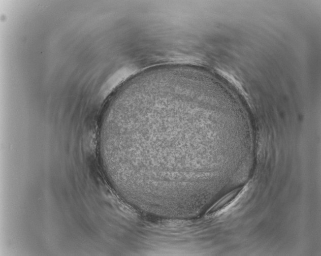 X0000087331163200705041732