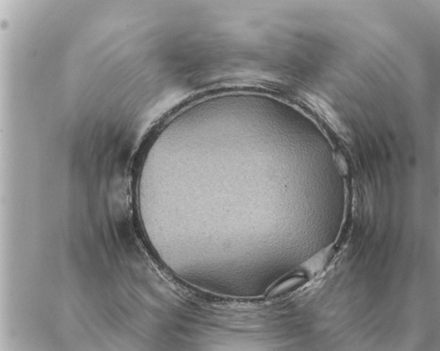 X0000087331164200705041732