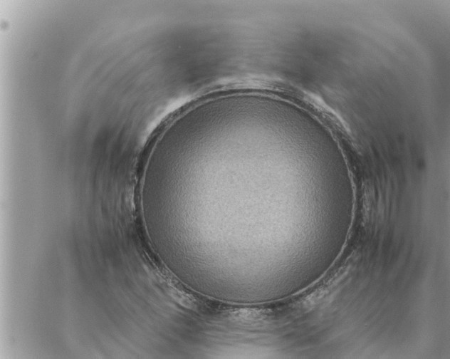 X0000087331166200705041732