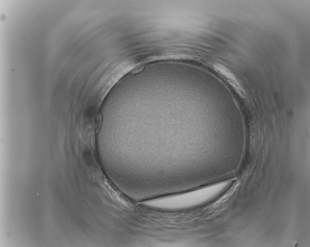 X0000087331177200705041732