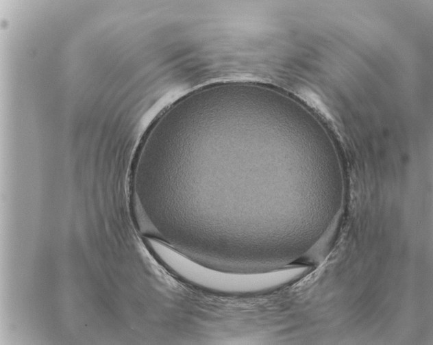 X0000087331181200705041732