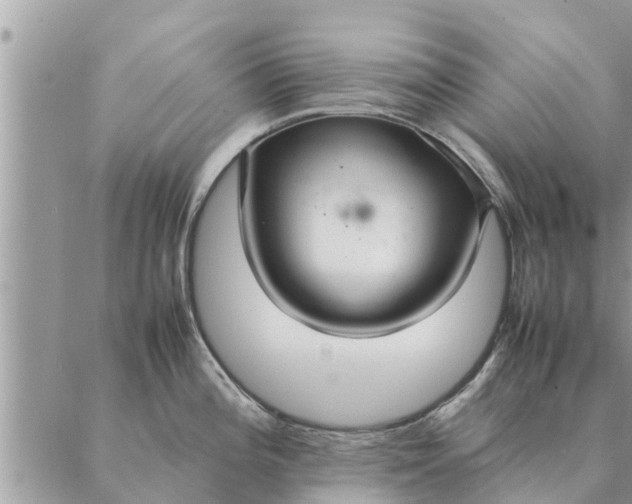 X0000087331196200705041732