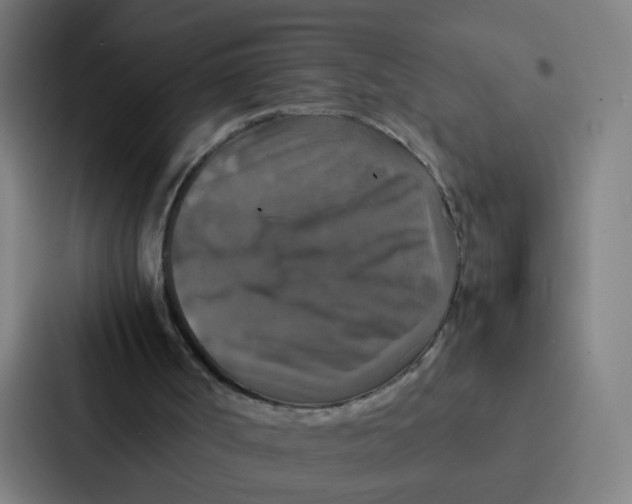 X0000087330002200705112206