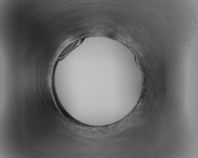 X0000087330003200705112206