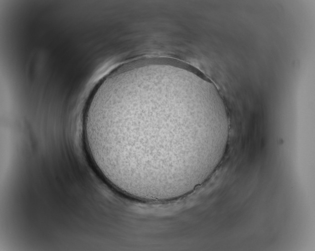 X0000087330005200705112206