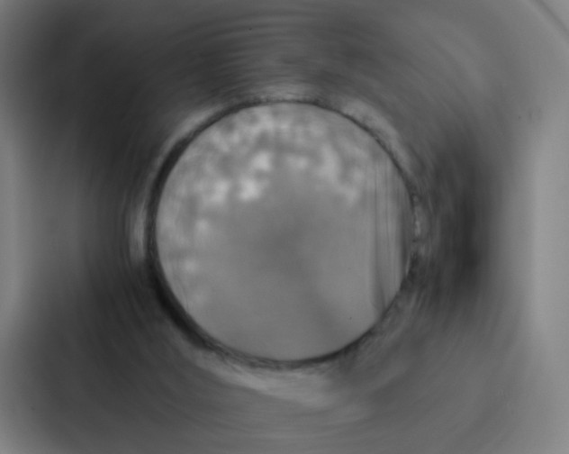 X0000087330012200705112206