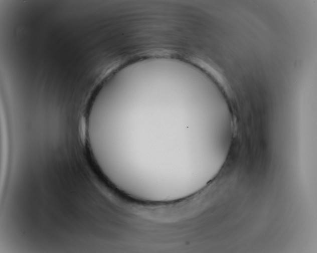 X0000087330013200705112206