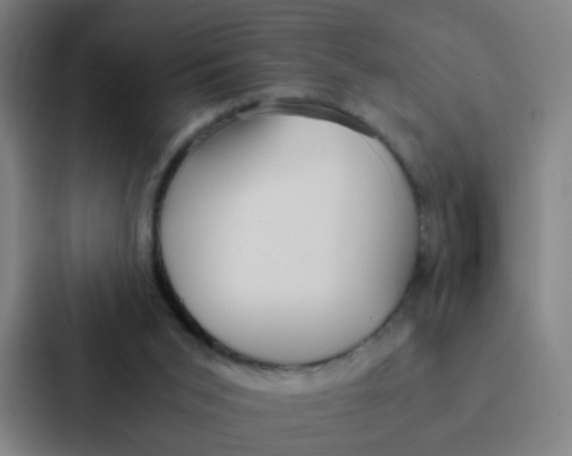 X0000087330015200705112206