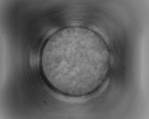 X0000087330016200705112206