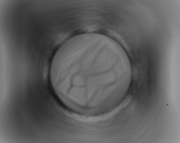 X0000087330018200705112206