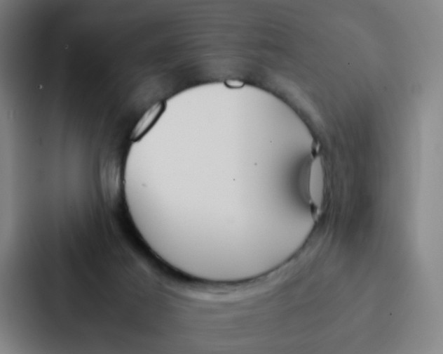 X0000087330021200705112206