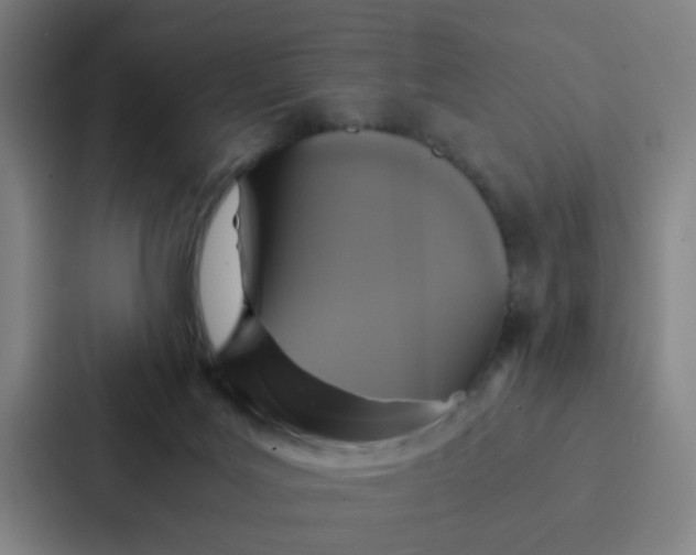 X0000087330027200705112206