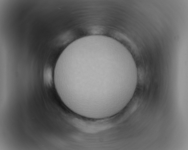 X0000087330028200705112206