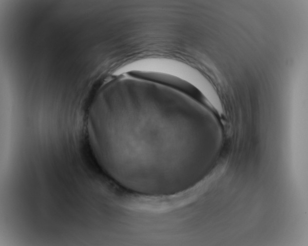 X0000087330029200705112206