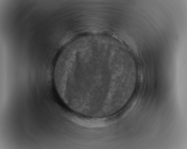 X0000087330032200705112206