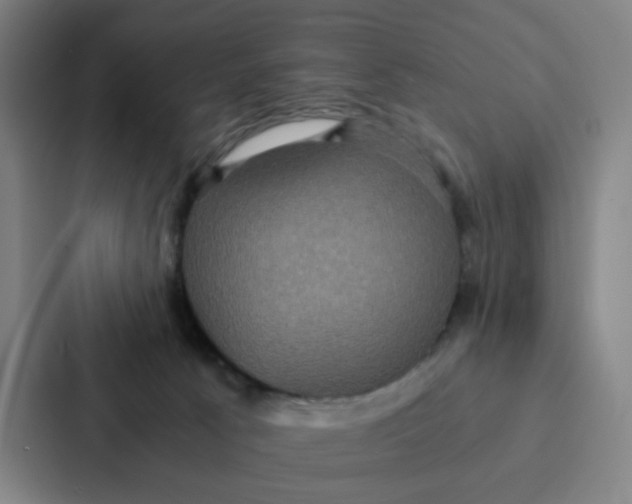 X0000087330033200705112206