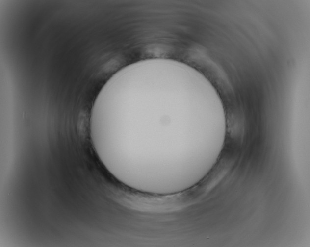 X0000087330036200705112205