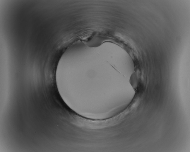 X0000087330039200705112205